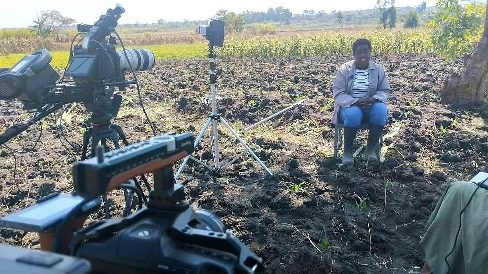AVID production image