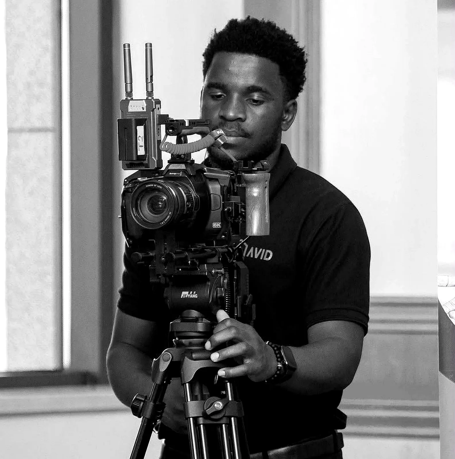 AVID production image